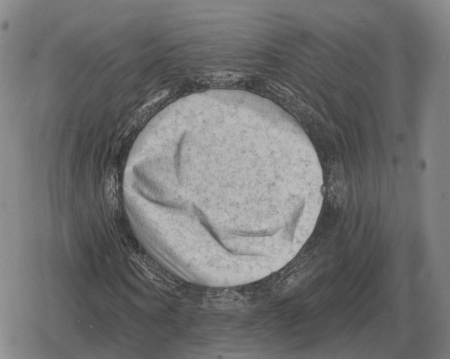 X0000079330866200612151840