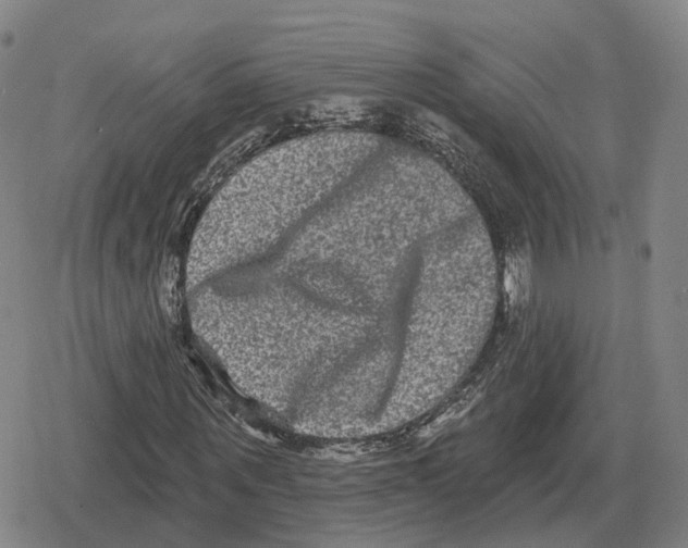 X0000079330867200612151840
