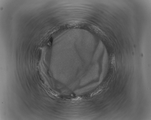 X0000079330868200612151840