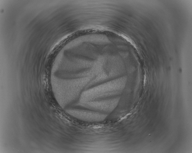 X0000079330872200612151840