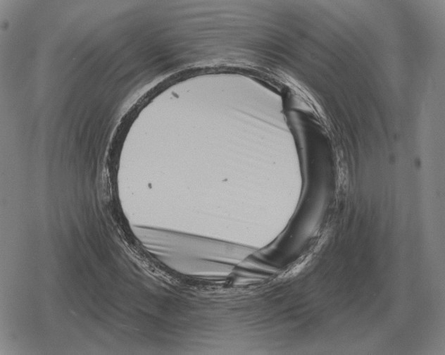 X0000079330876200612151839