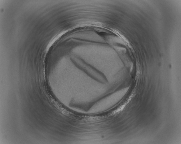 X0000079330877200612151839