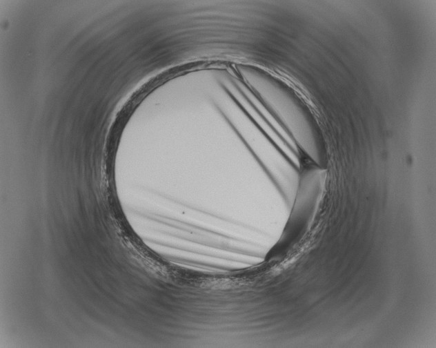 X0000079330880200612151839