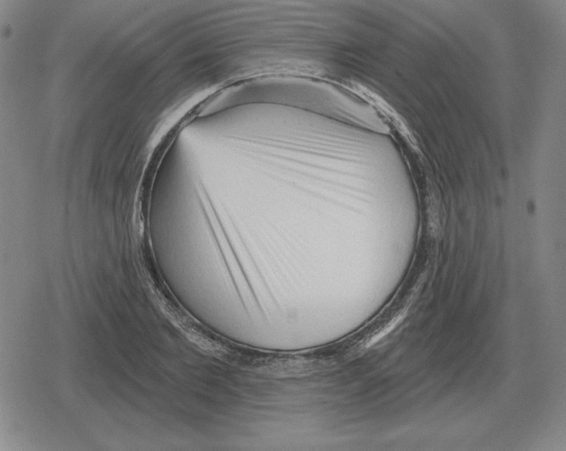 X0000079330885200612151839