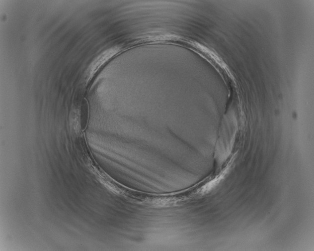 X0000079330889200612151839