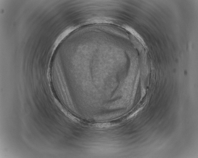 X0000079330893200612151839