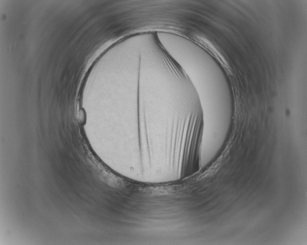 X0000079330900200612151839