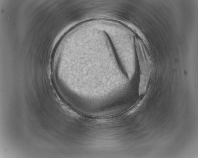 X0000079330904200612151839