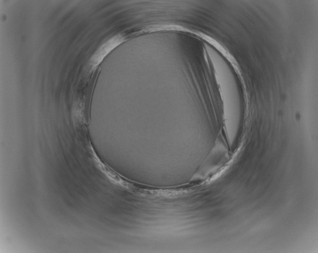 X0000079330905200612151839