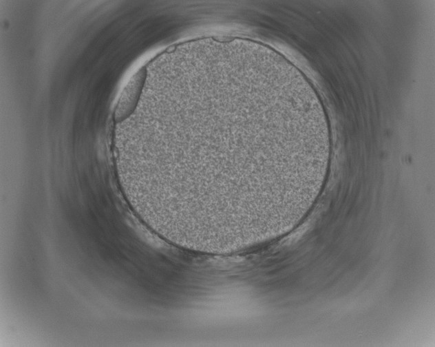 X0000079330912200612151839