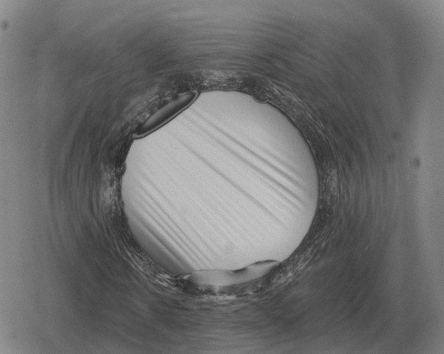 X0000079330914200612151838