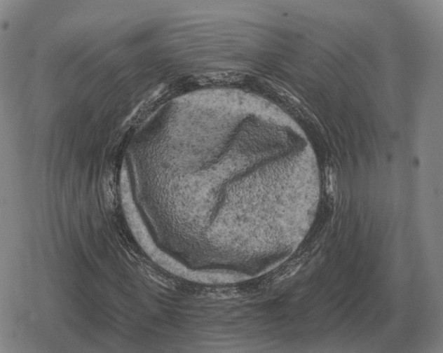 X0000079330915200612151838