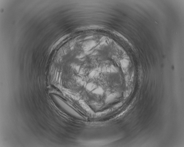 X0000079330921200612151838