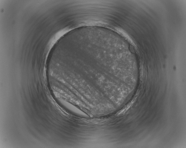 X0000079330932200612151838