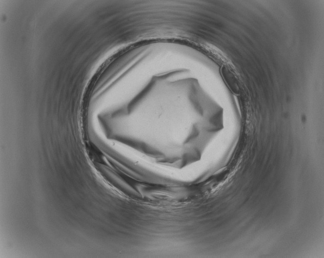 X0000079330942200612151839