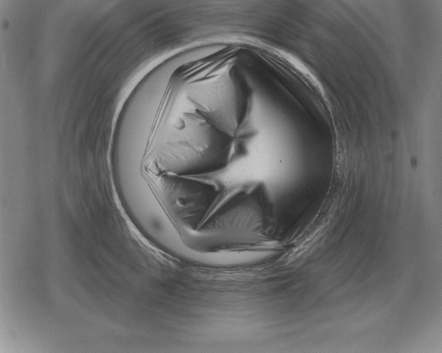 X0000079330951200612151839