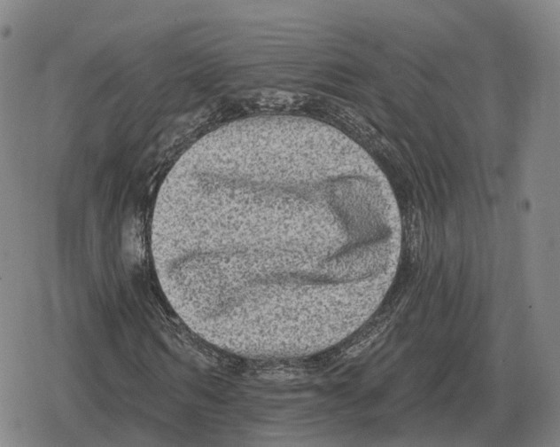 X0000079330962200612151838