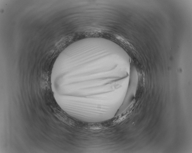 X0000079330964200612151838