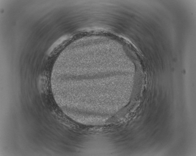 X0000079330967200612151838