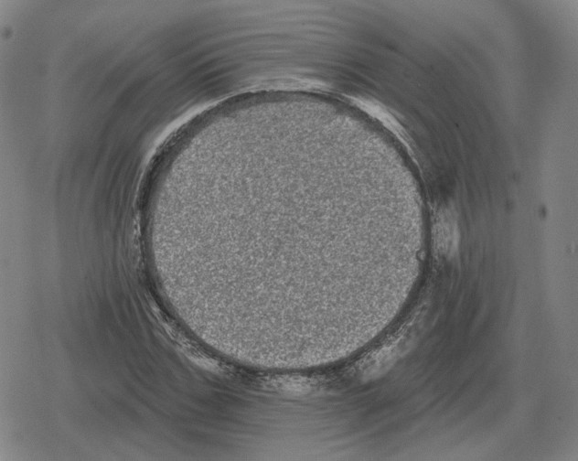 X0000079330971200612151838