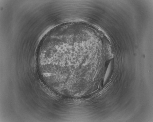 X0000079330975200612151838