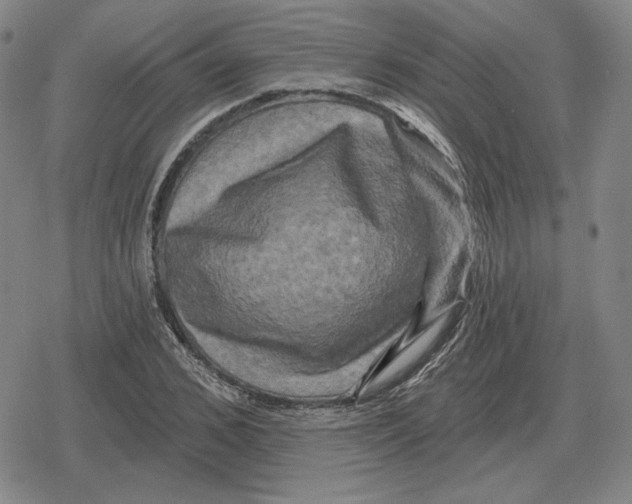 X0000079330976200612151838