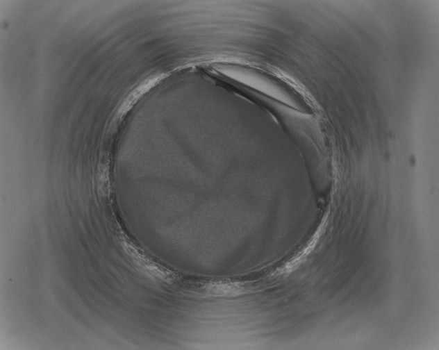 X0000079330977200612151838