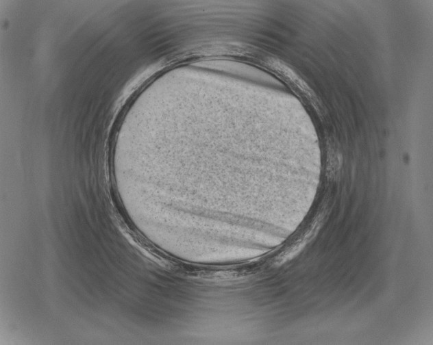 X0000079330986200612151838