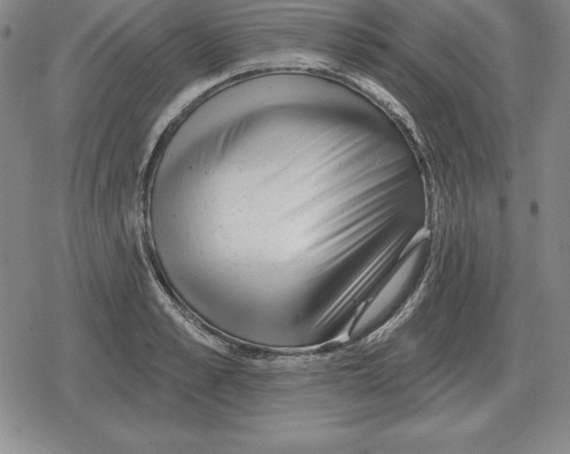 X0000079330989200612151838