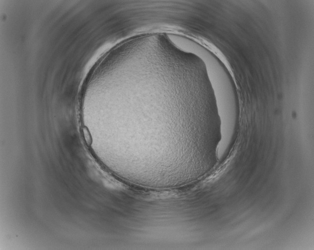 X0000079330997200612151838