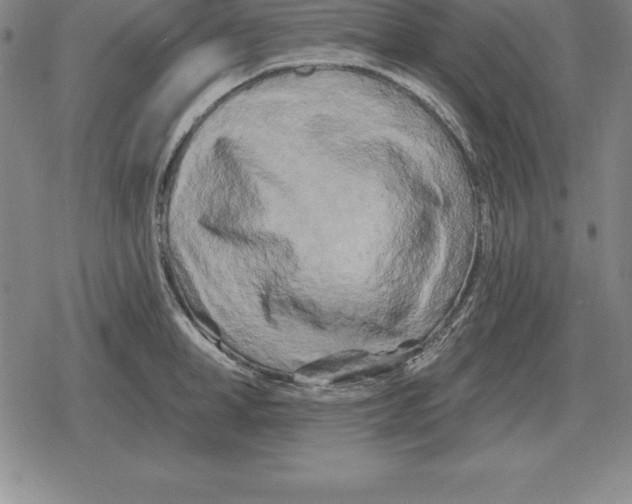 X0000079330998200612151838