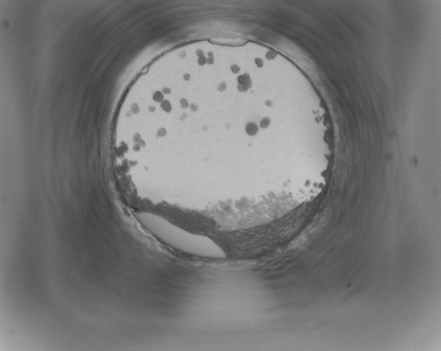 X0000079331008200612151837