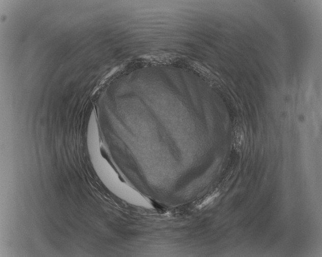 X0000079331010200612151837