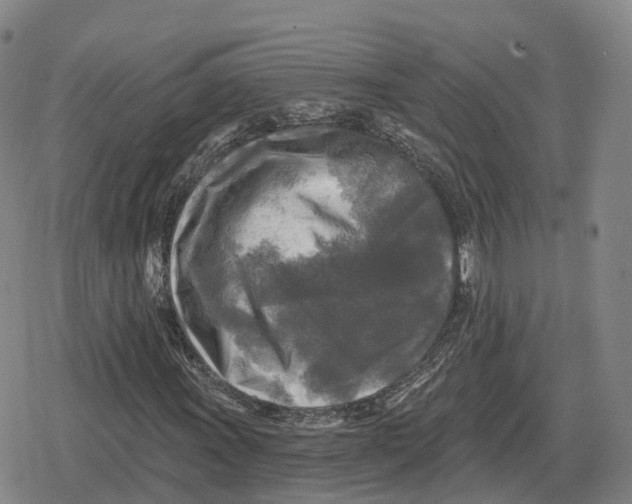 X0000079331011200612151837