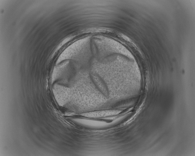 X0000079331017200612151837