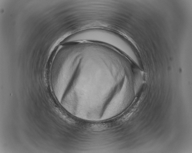 X0000079331026200612151837