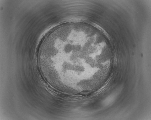 X0000079331027200612151837