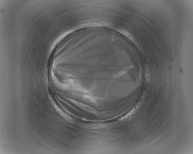 X0000079331030200612151837