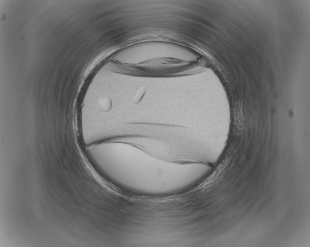 X0000079331034200612151837