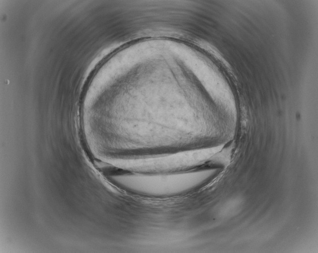 X0000079331040200612151837