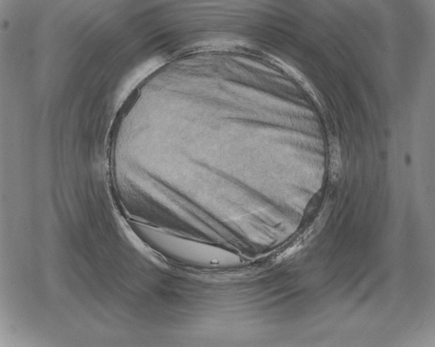 X0000079331042200612151837