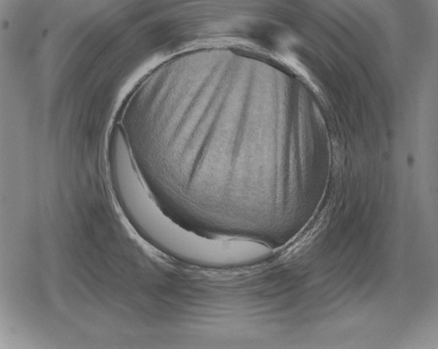 X0000079331046200612151837