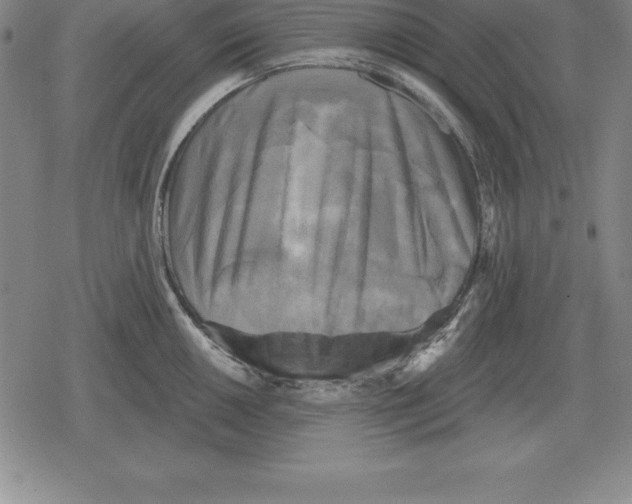 X0000079331050200612151837