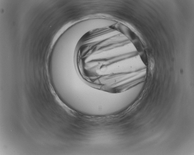 X0000079331054200612151837