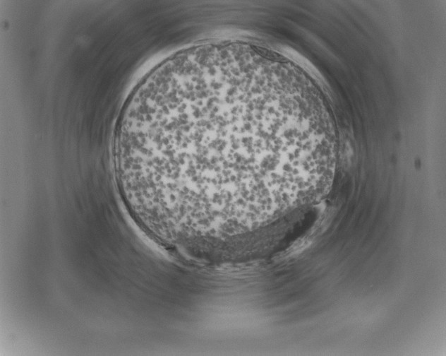 X0000079331055200612151837