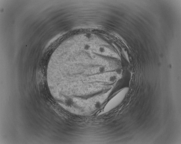 X0000079331064200612151836