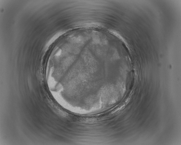X0000079331071200612151836