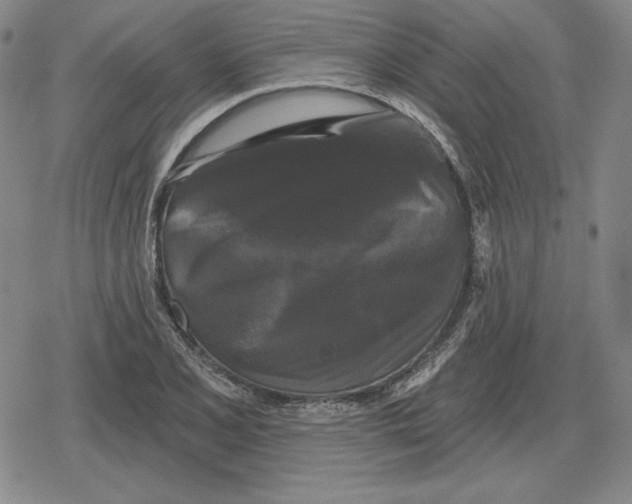 X0000079331077200612151836