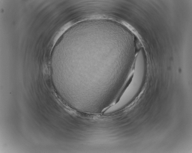 X0000079331097200612151836