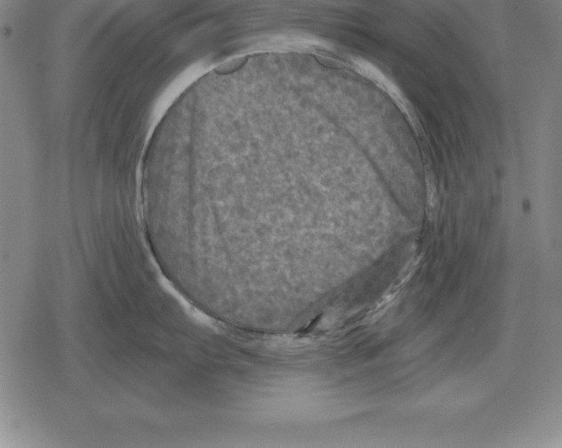 X0000079331103200612151836